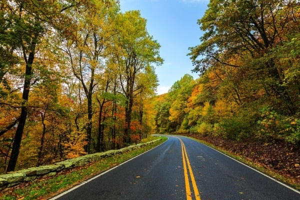 Best Fall Trips to Take Locally