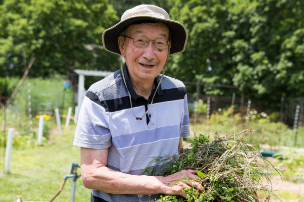 Resident pulling weeds